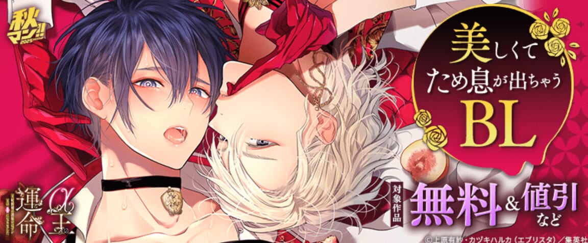 美しくてため息が出ちゃうBL特集