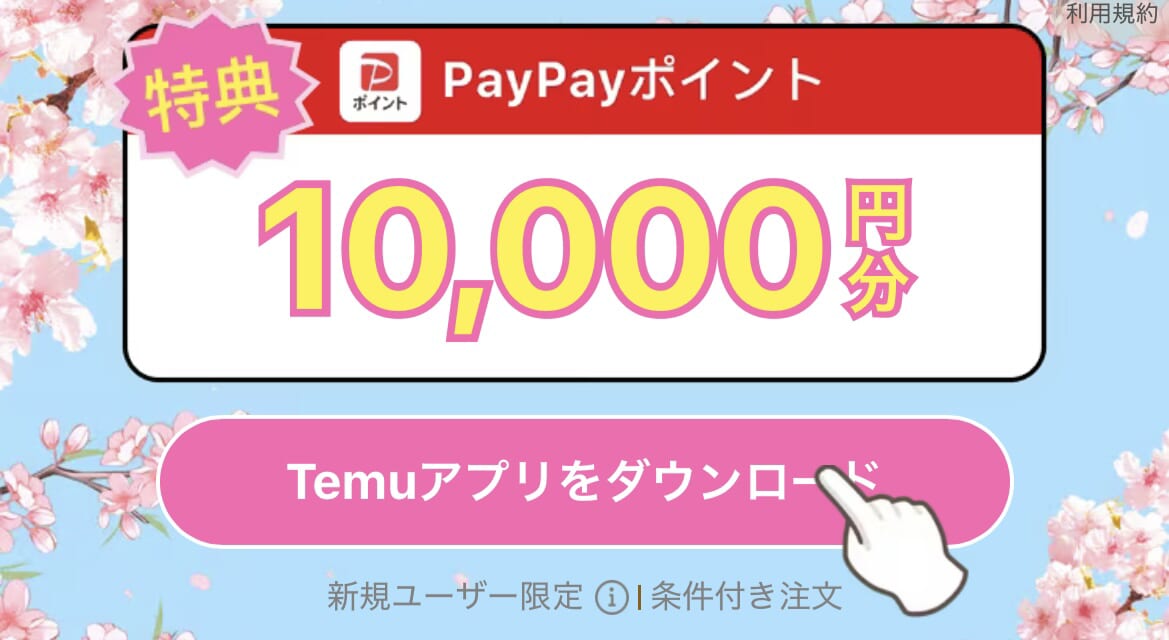 TemuPayPay